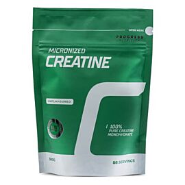 Progress 100% Creatine Monohydrate 300 грам