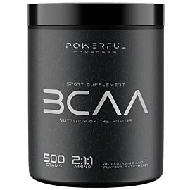 Powerful Progress Amino BCAA 2:1:1 + Glutamine 500 грам, Апельсин