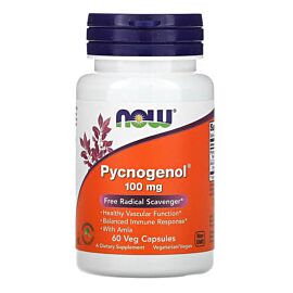 NOW Pycnogenol 100 mg 60 вегетаріанських капсул